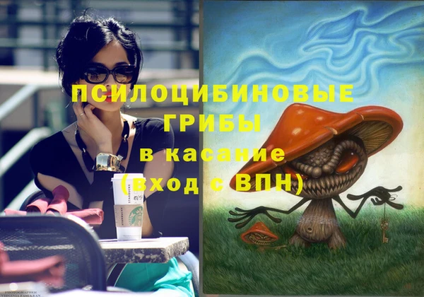 амф Белокуриха