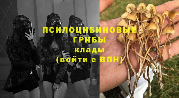 амф Белокуриха
