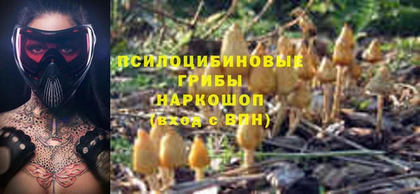 амф Белокуриха