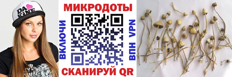 закладки  Бузулук  Псилоцибиновые грибы MAGIC MUSHROOMS 